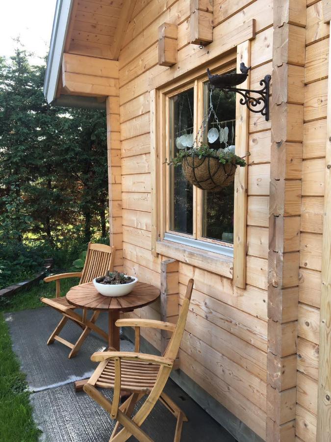 フラウヴェンポルデルChalet Ons Oekjeアパートメント エクステリア 写真