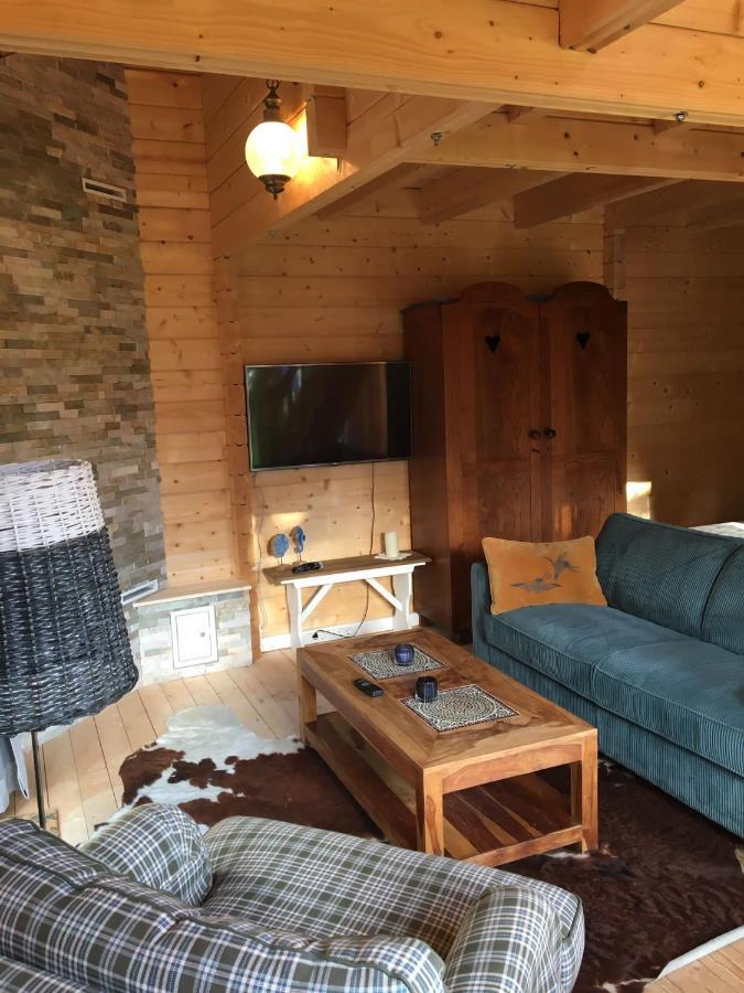 フラウヴェンポルデルChalet Ons Oekjeアパートメント エクステリア 写真